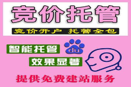 行业领先企业的SEM代运营经验分享